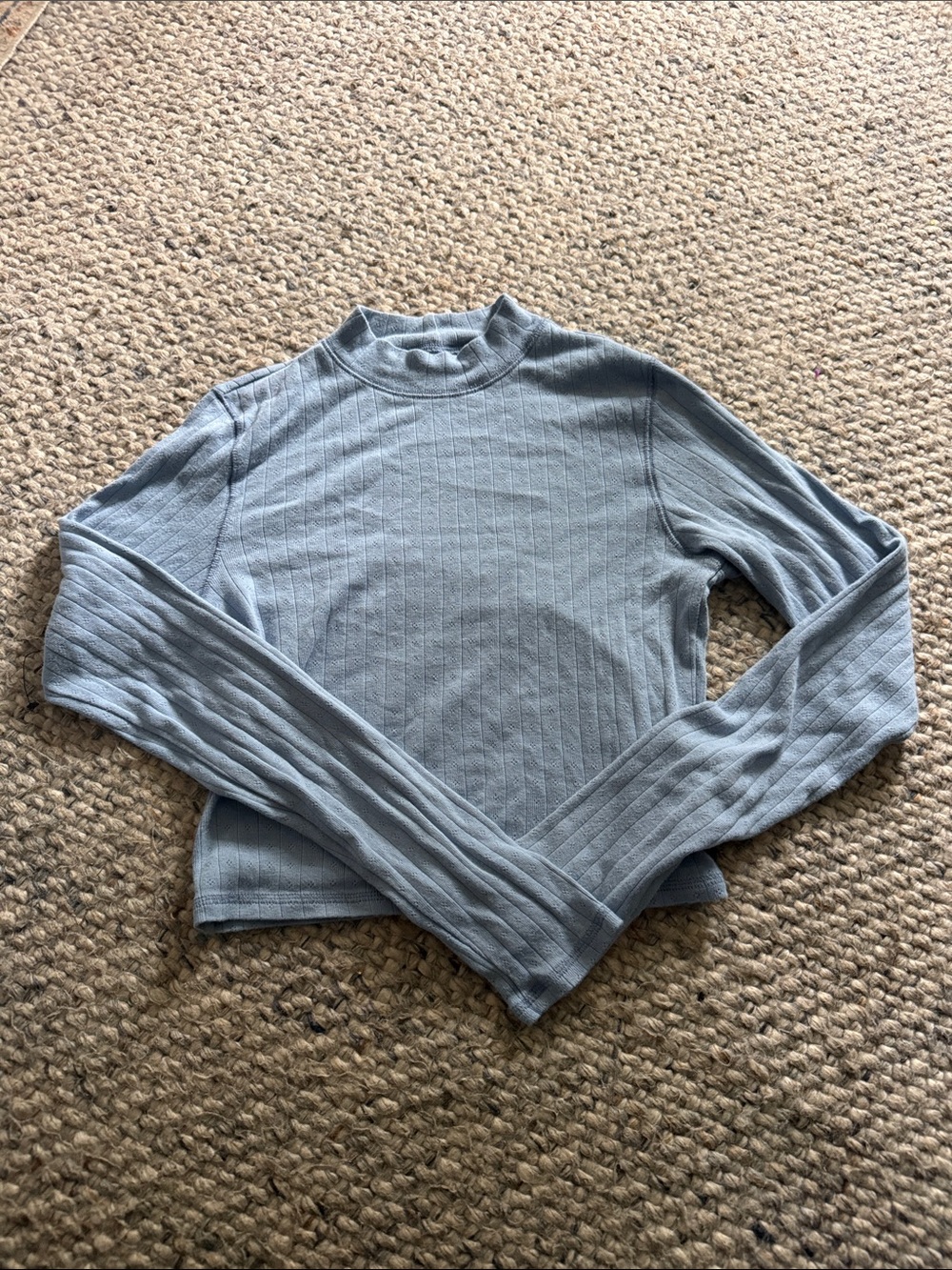 American Eagle Outfitters Light Blue Ribbed Long-Sleeve Crop Top